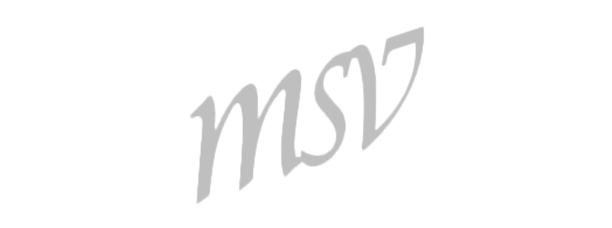 MSV